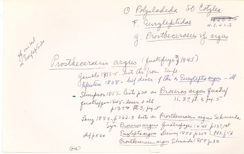 index card