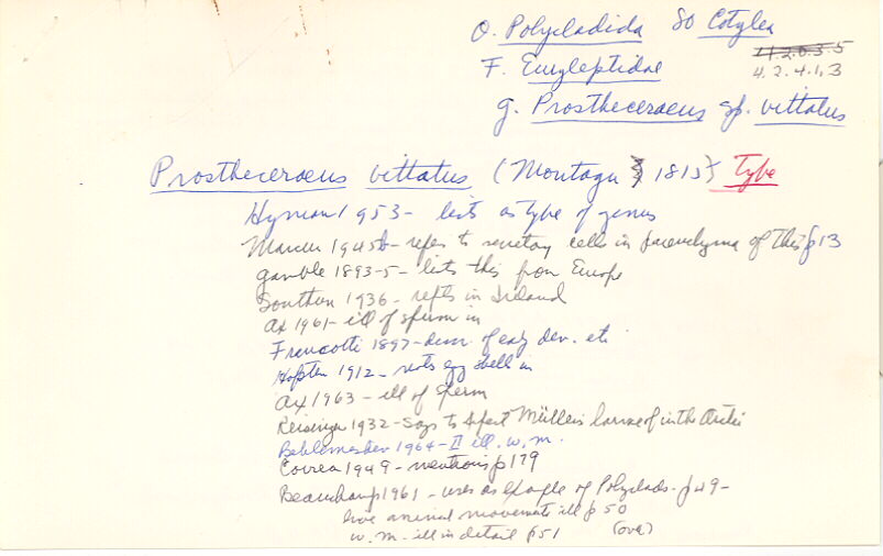 index card