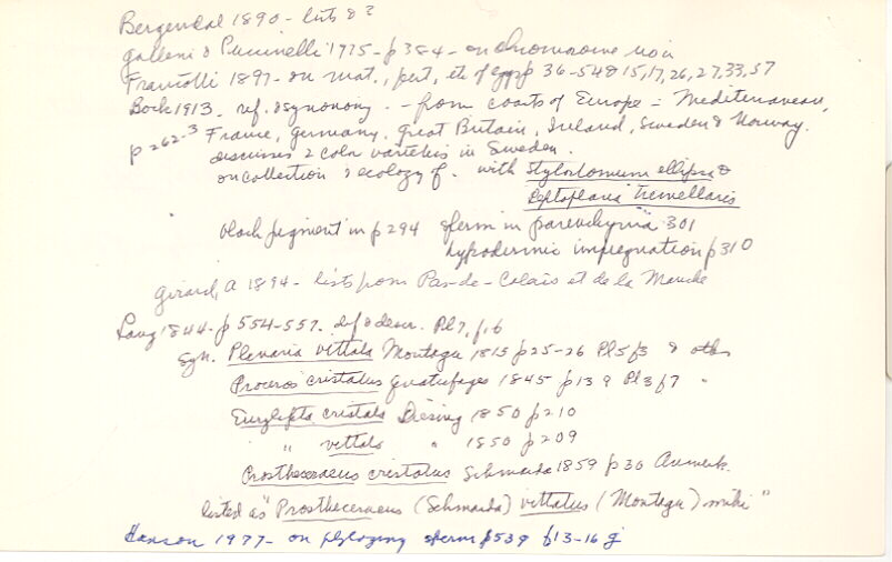 index card