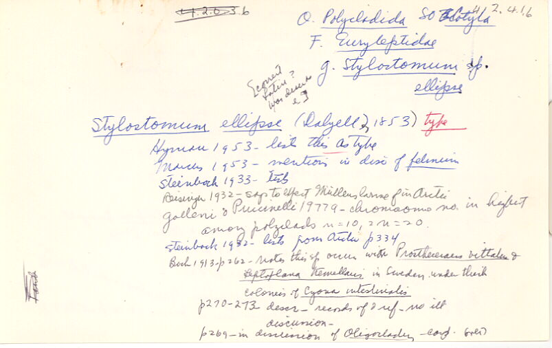 index card