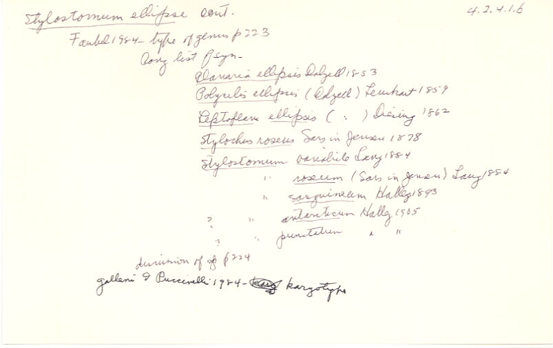 index card