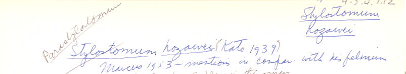 index card