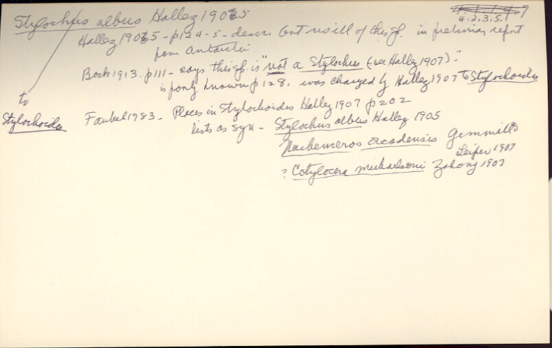 index card