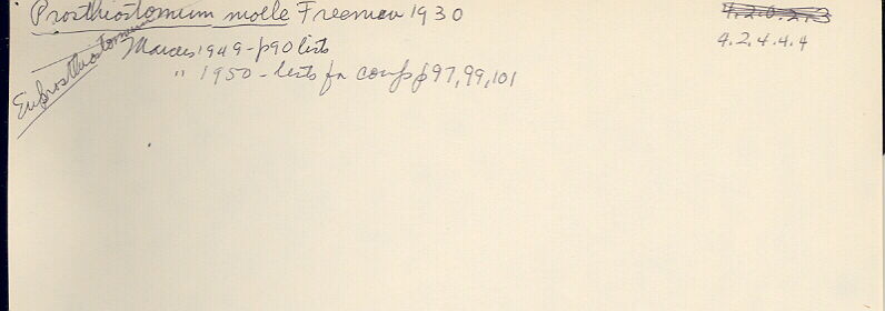 index card