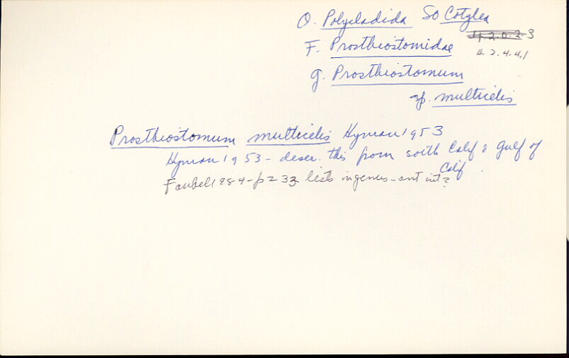 index card