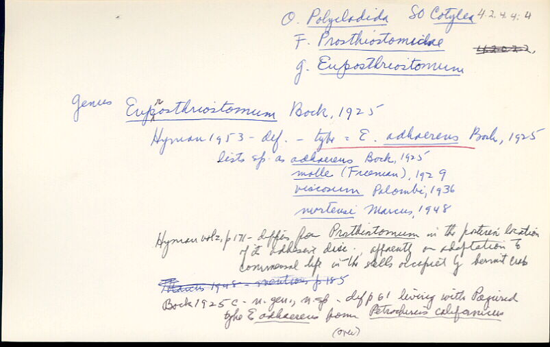 index card