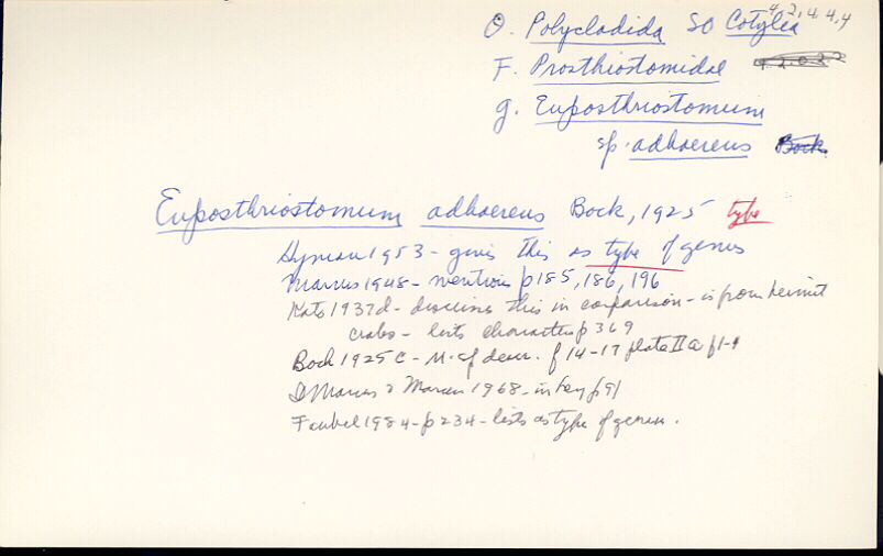 index card