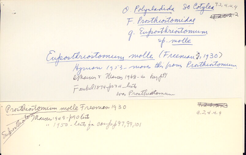 index card