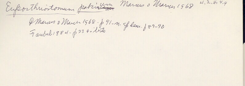 index card