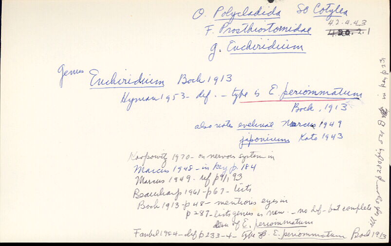 index card