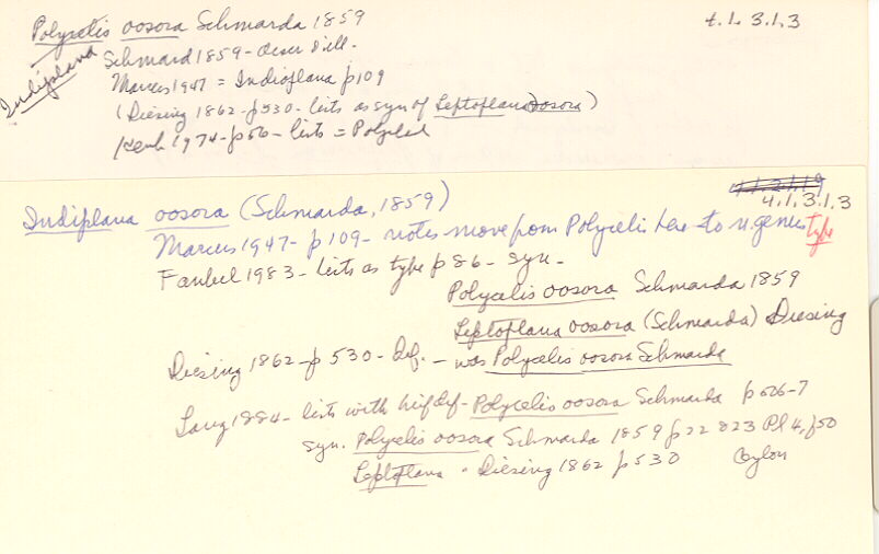 index card
