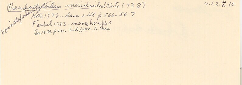 index card