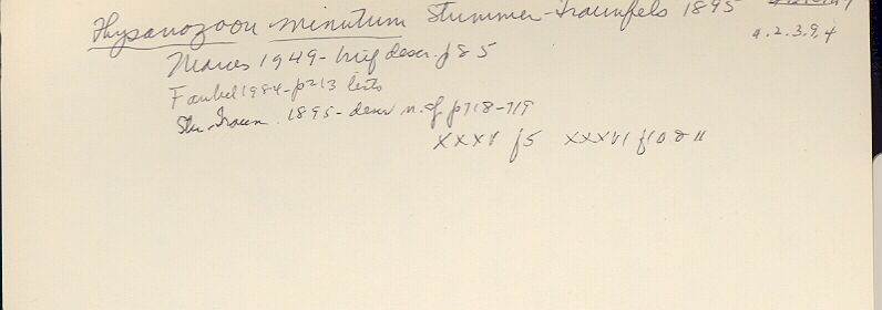 index card