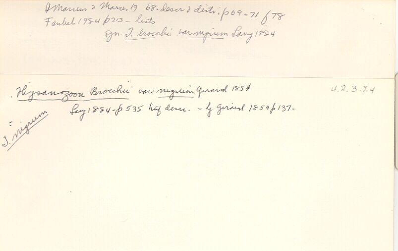 index card