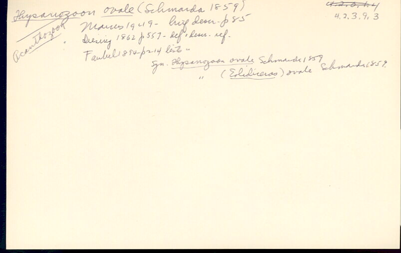 index card