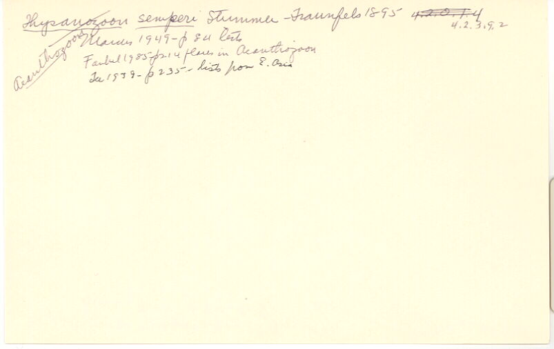 index card