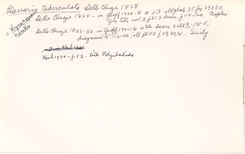 index card