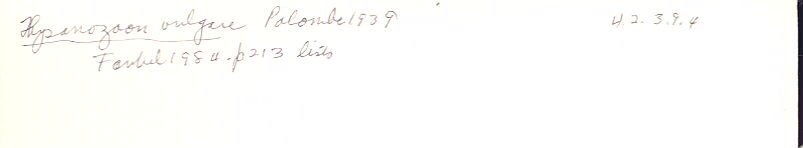 index card