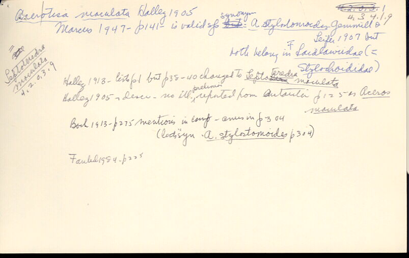 index card