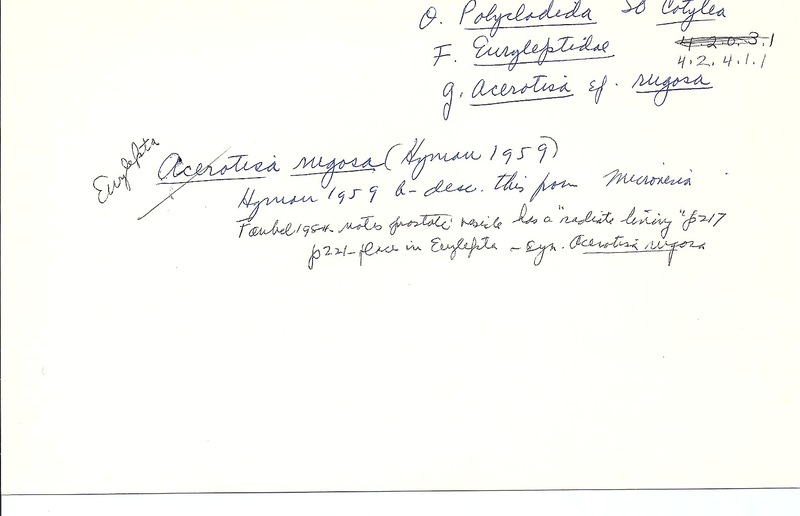 index card