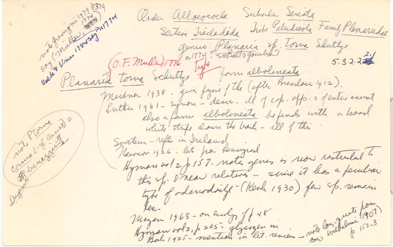 index card