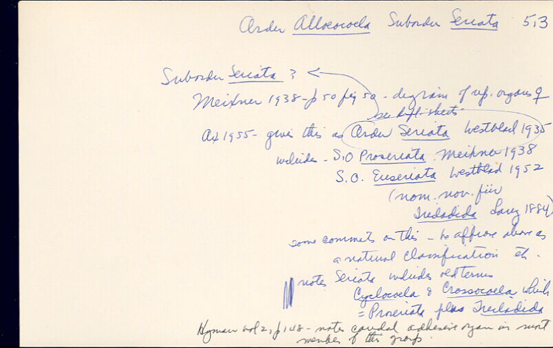 index card