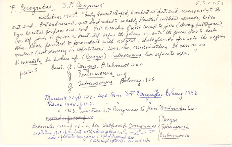 index card