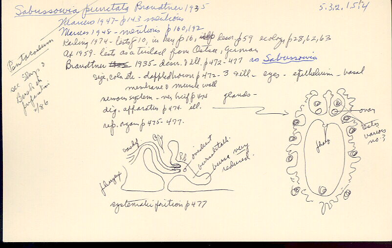 index card
