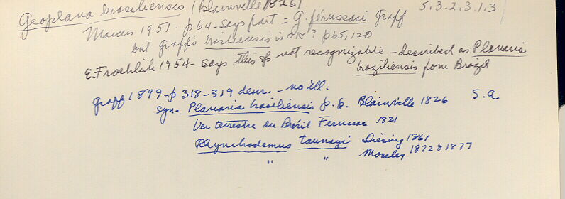 index card