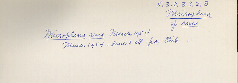index card