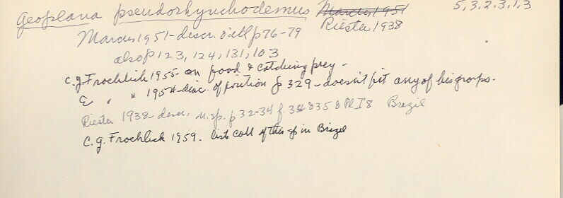 index card