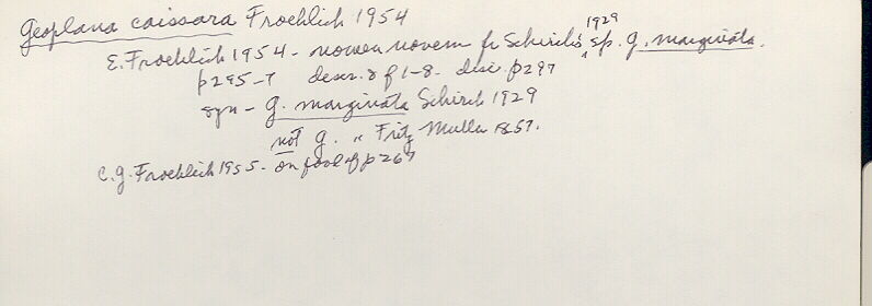 index card