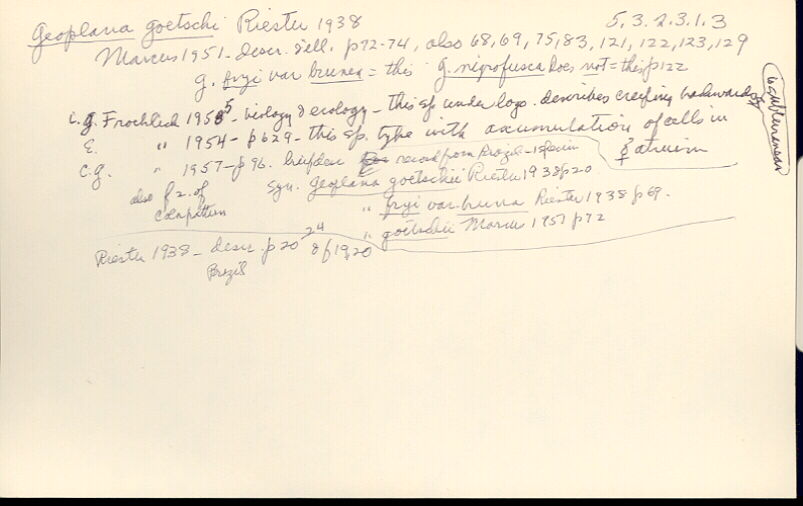 index card