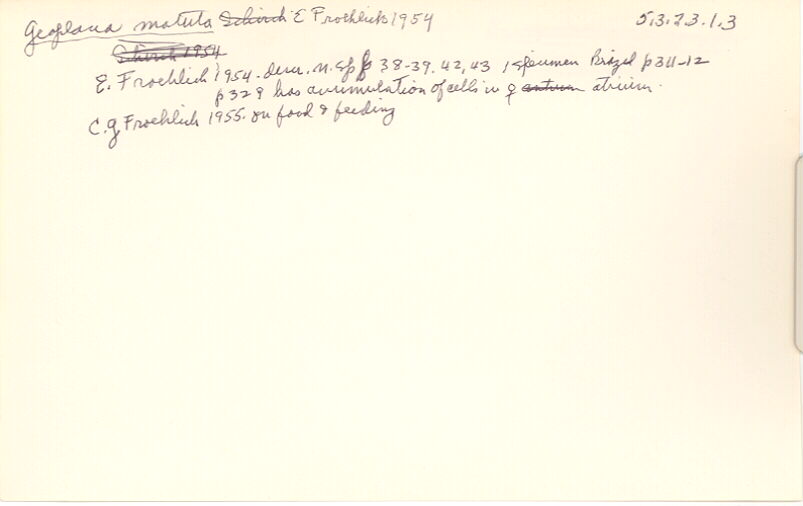 index card