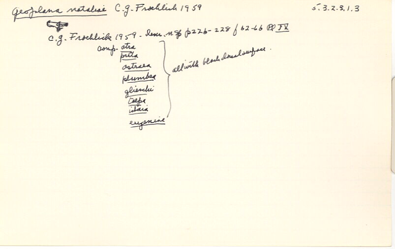 index card
