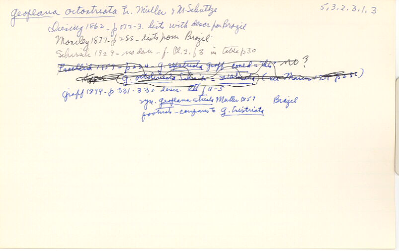 index card