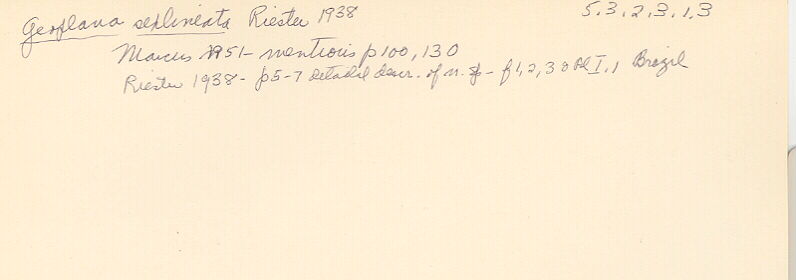 index card