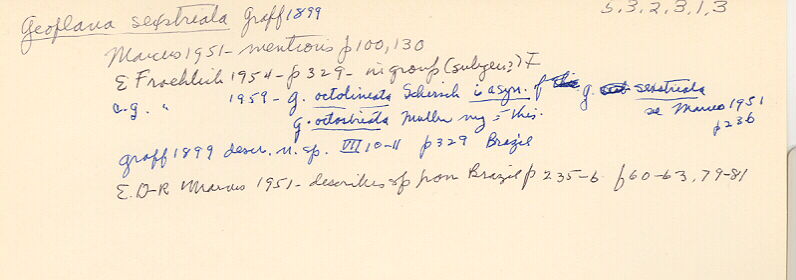 index card