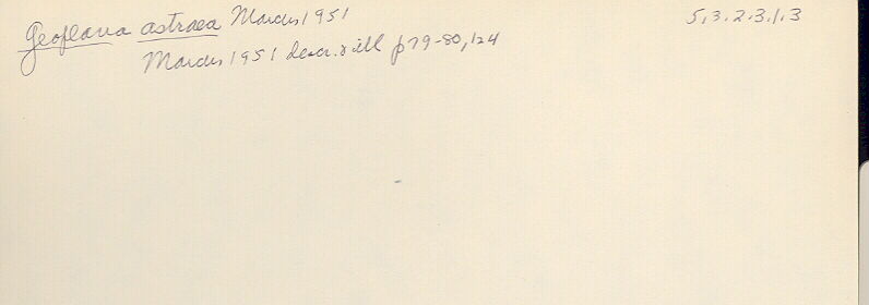 index card