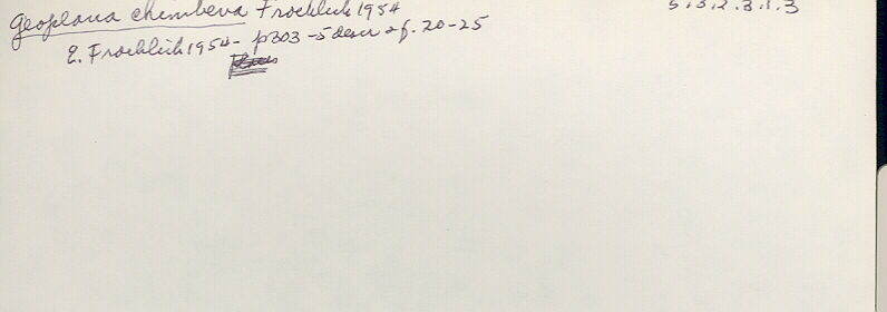 index card