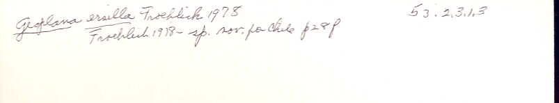 index card