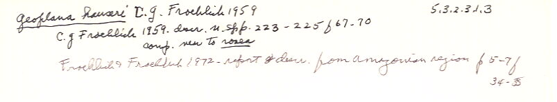 index card