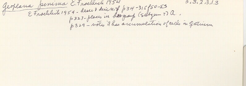 index card