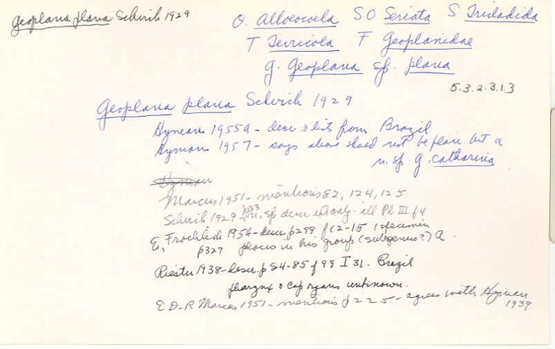 index card