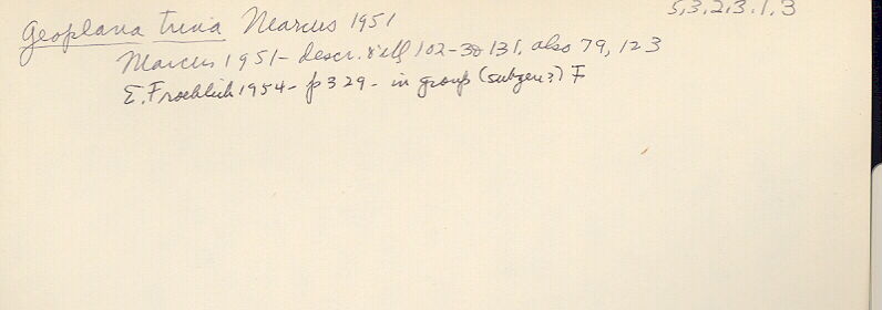 index card