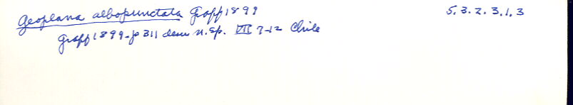 index card