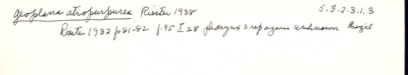 index card
