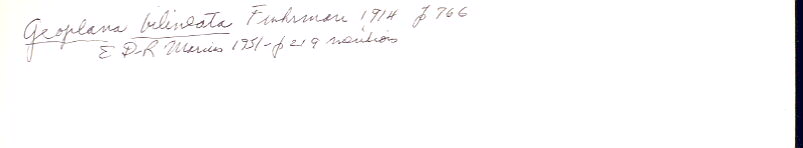 index card