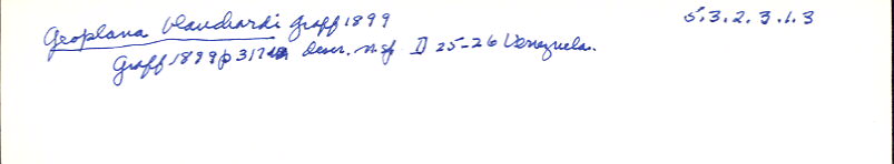 index card