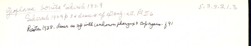 index card